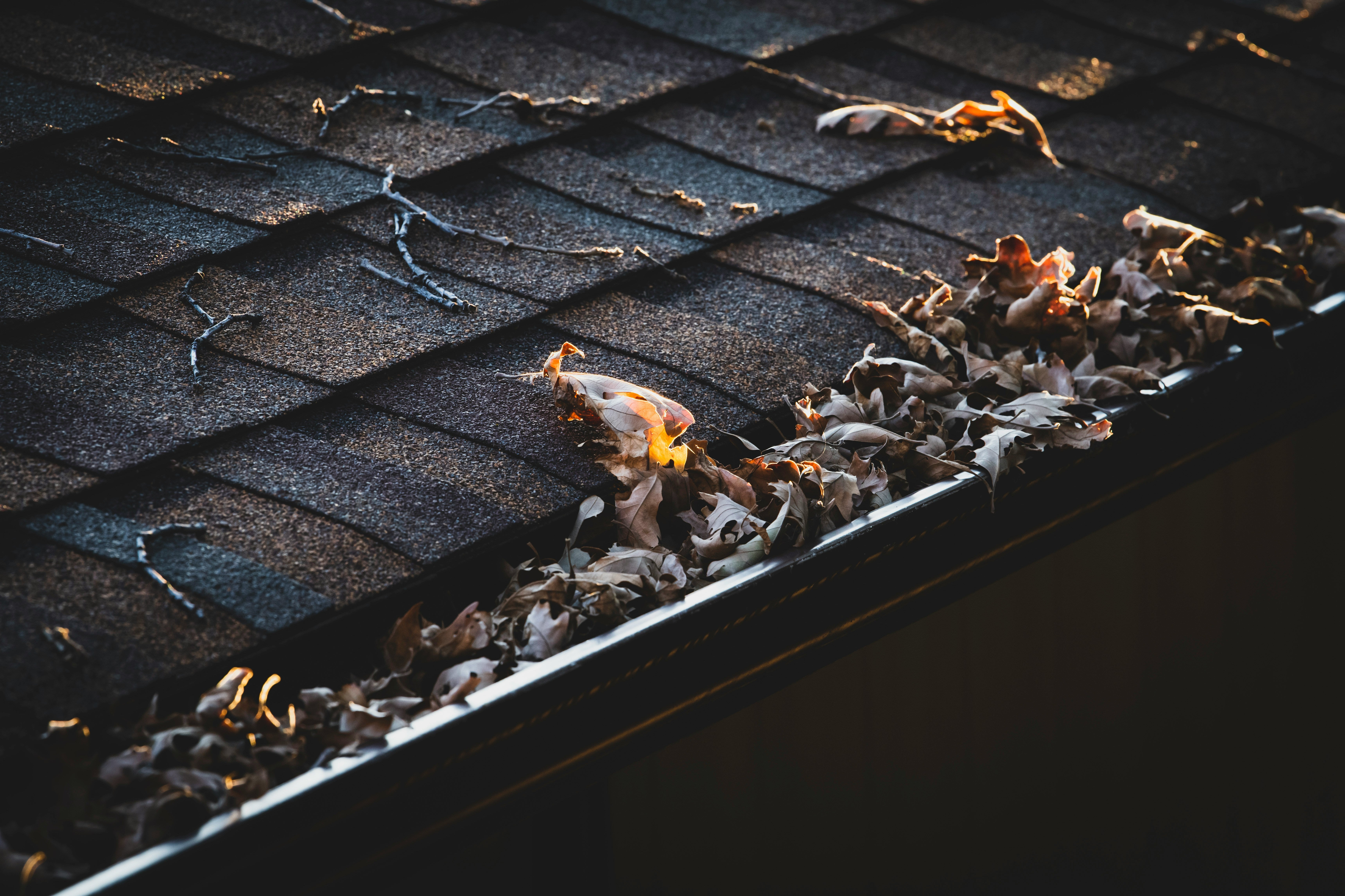 gutters clogged with leaves